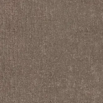 Ellice Spacedust Z565-05