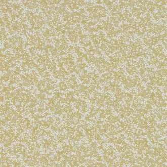 Coral 111868