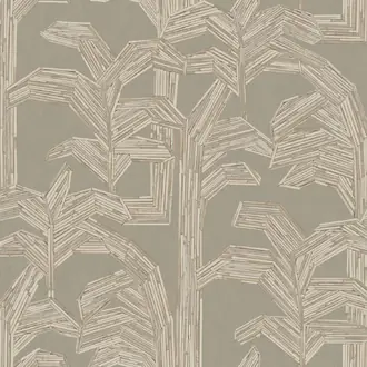 Kailua 81506