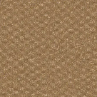 Boucle HPE205