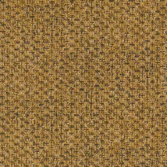 Chai Ochre