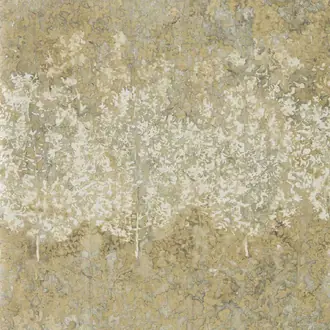 Belvoir 312654