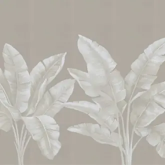 Palmera 31001