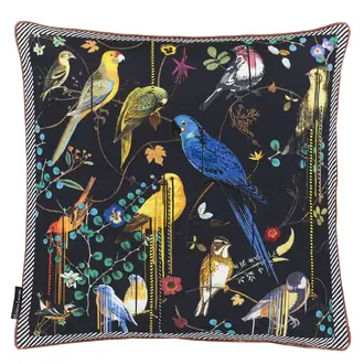 Birds Sinfonia Crepuscule CCCL0531