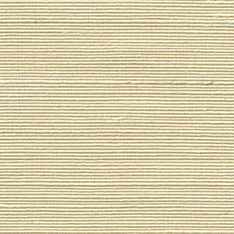 Agave 90533A