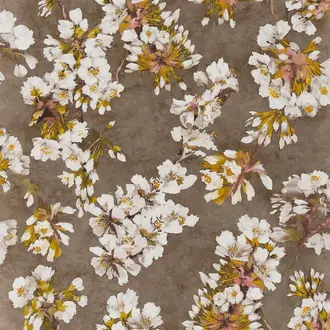 Fleur D Assam PDG1148-03