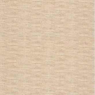 Surf ED85428-116