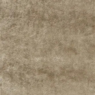 Pavia FDG2535-11