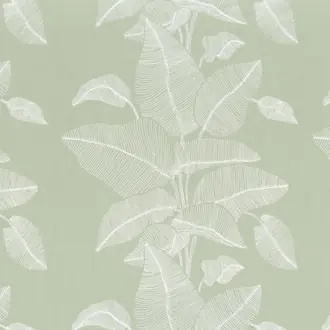 Botanique Cam 38360229