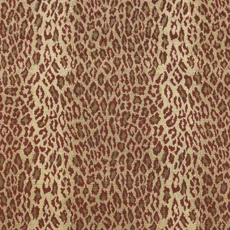 Amur W80434
