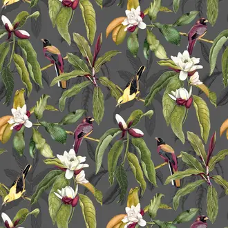 Michelia W7612-01