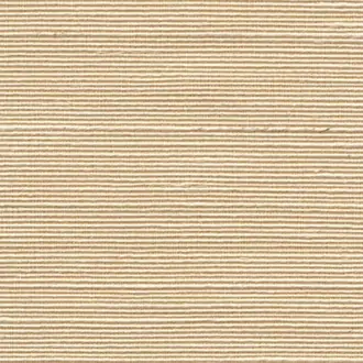 Agave 90534A