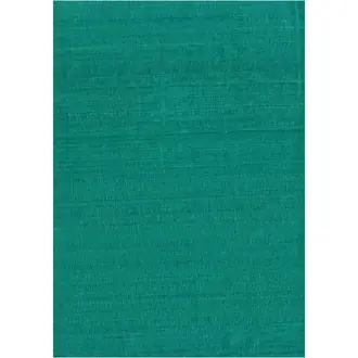 Salon Silk F5980-01