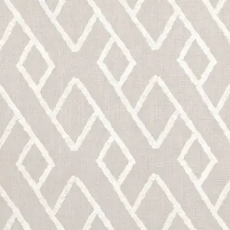 Lente Silverbirch M486-02