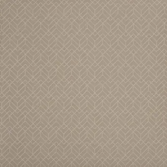 Penrose 2019-012