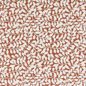 Elia Terracotta