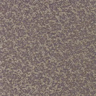 Coral 111870