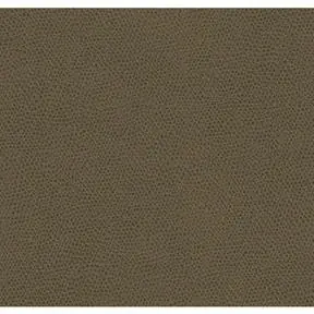 Kravet Contract OPHIDIAN 606