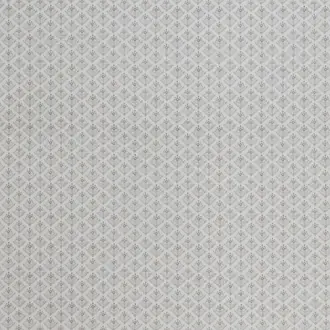 Ladyfern Dark Dove Grey