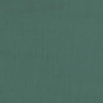 Hackney Mallard