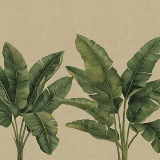 Palmera 31003