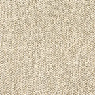 Arroyo W8781