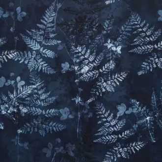 Folium Indigo