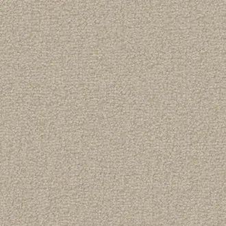 Aria FDG3119-01