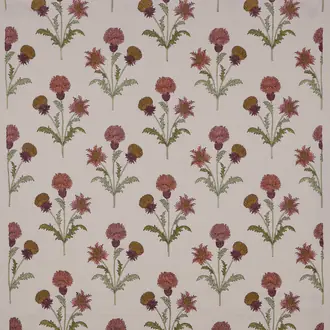 Calluna Coral