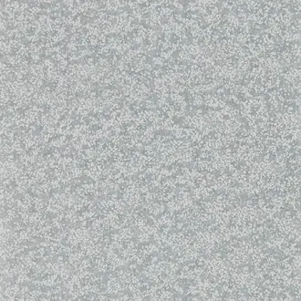 Coral 111871