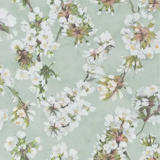 Fleur D Assam PDG1148-05