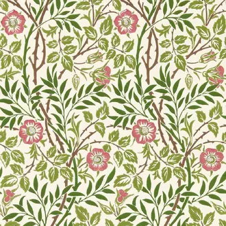 Sweet Briar 217370