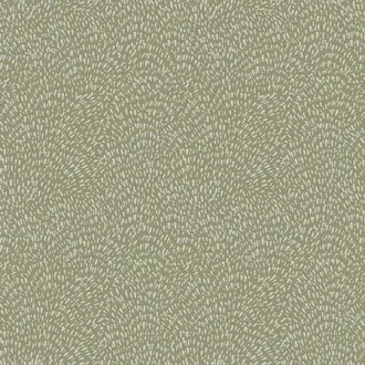 Zen DWP0363-01