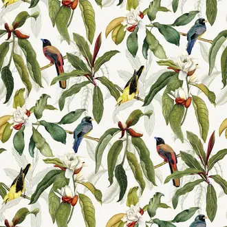 Michelia W7612-03