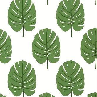 Monstera T13952
