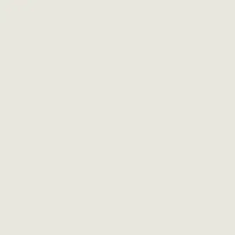 French Grey Pale No 161