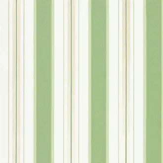 Peruzzi Stripe W7982-04