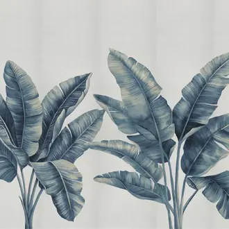 Palmera 31004