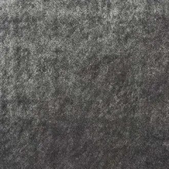 Velvet Dove