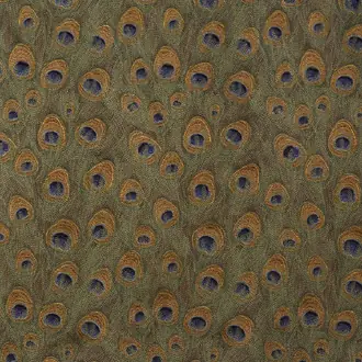 Peacock 03