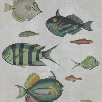 Poissons Grey WP20182