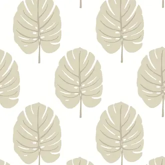 Monstera T13956