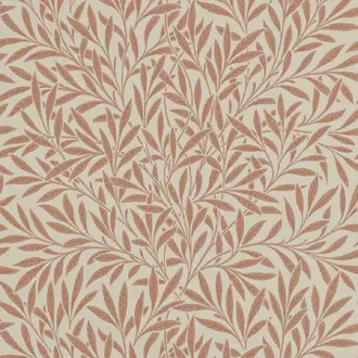 Willow 210381