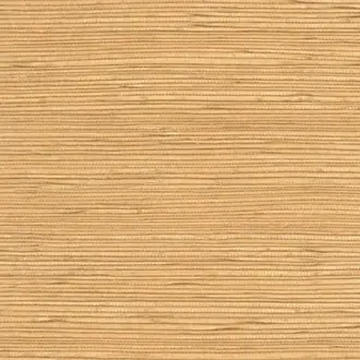 Gradient 52402