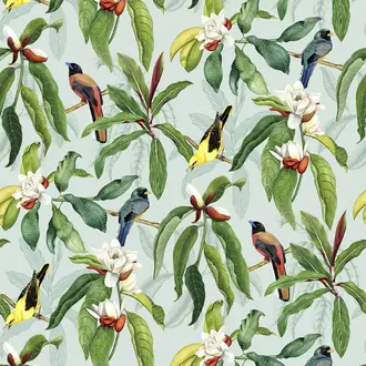 Michelia W7612-04