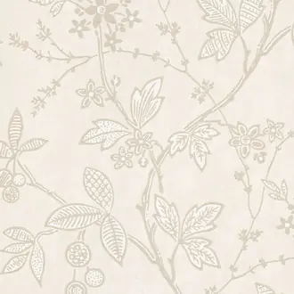Wrest Trail Lime Plaster