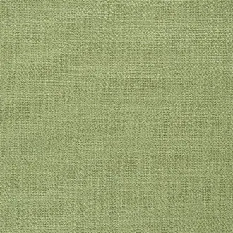 Trento F1564-23
