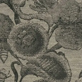 Coccinella Bella Jacquard MO5002