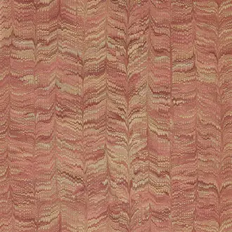 Jaipur Plain 313083