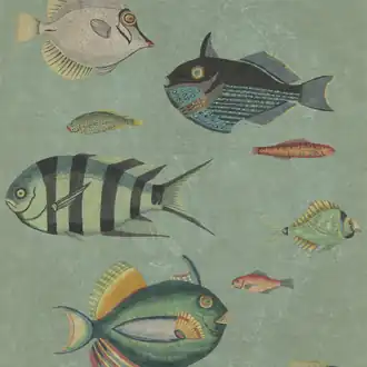 Poissons WP20181